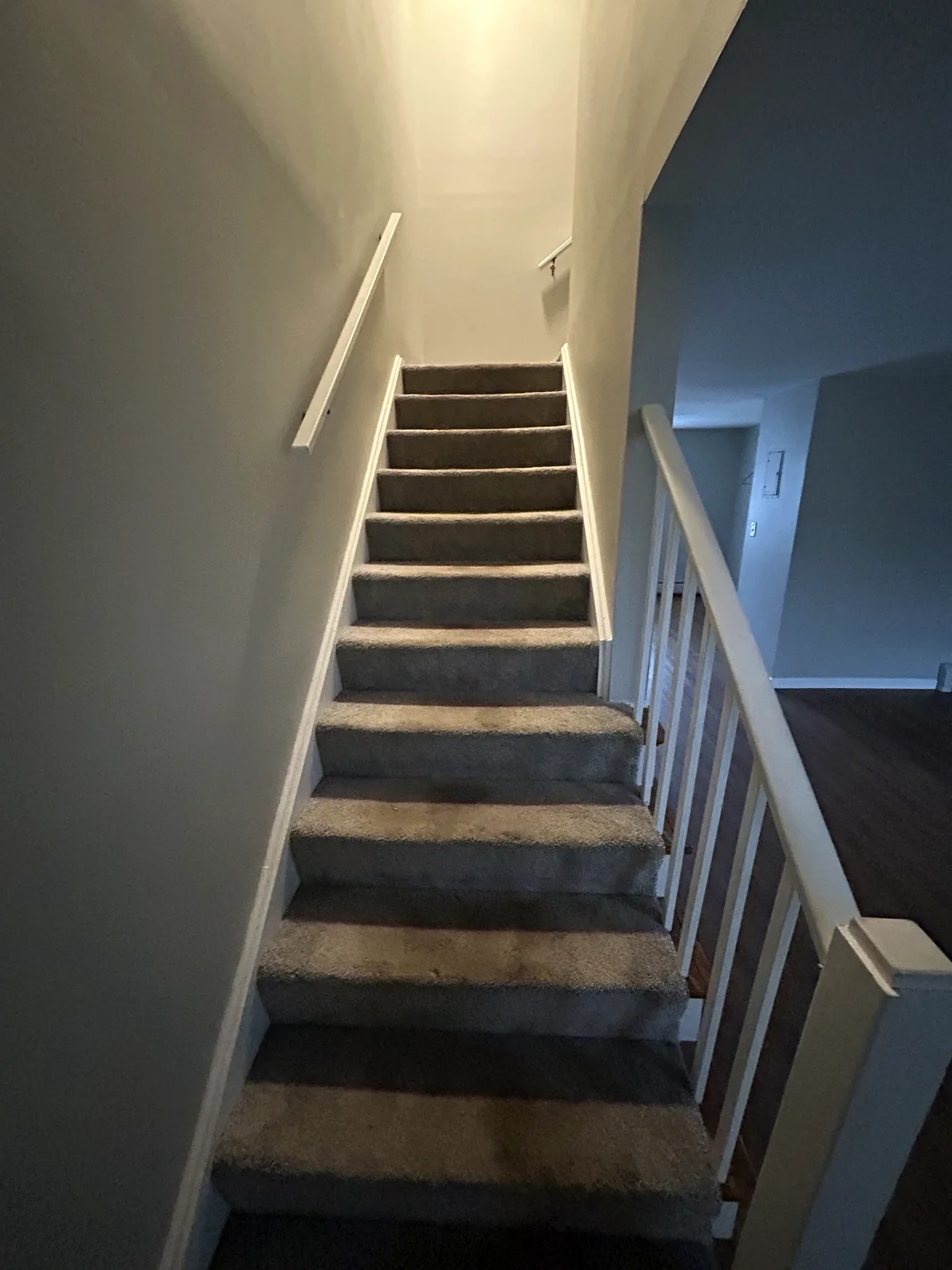 Carpeted staircase before refinishing